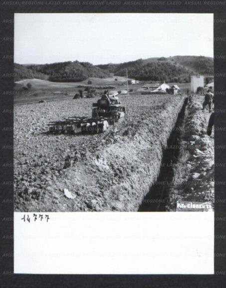 ARSIAL/ARS00174BDA.jpg