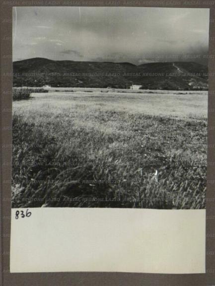 ARSIAL/ARS00174BDE.jpg