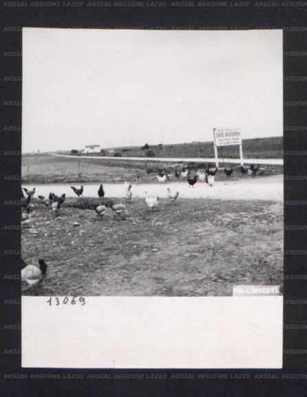 ARSIAL/ARS00174BDF.jpg