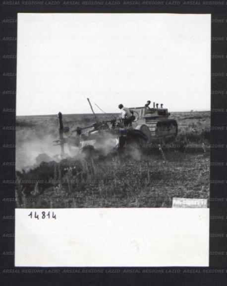 ARSIAL/ARS00174BE2.jpg