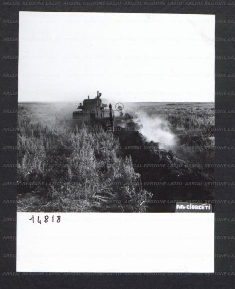 ARSIAL/ARS00174BEF.jpg