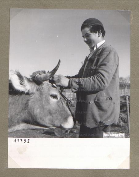 ARSIAL/ARS00174BF4.jpg