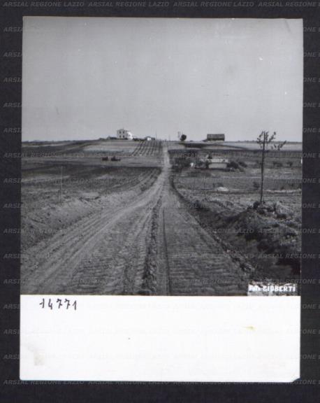 ARSIAL/ARS00174BF7.jpg
