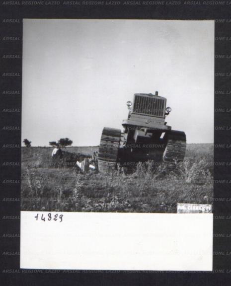 ARSIAL/ARS00174C07.jpg