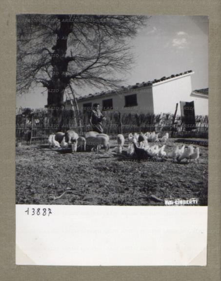 ARSIAL/ARS00174C08.jpg