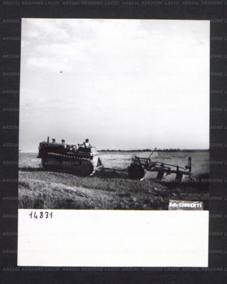 ARSIAL/ARS00174C09.jpg