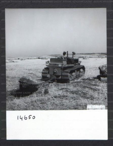 ARSIAL/ARS00174C13.jpg