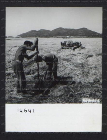 ARSIAL/ARS00174C15.jpg