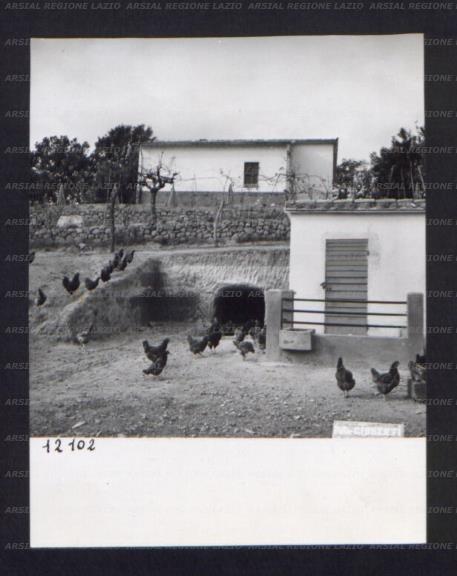 ARSIAL/ARS00174C1E.jpg