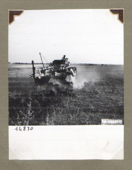 ARSIAL/ARS00174C22.jpg