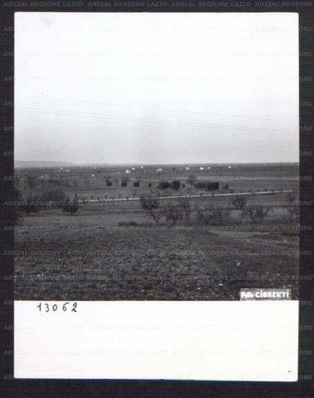 ARSIAL/ARS00174C47.jpg