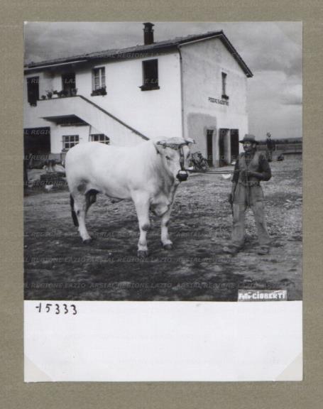 ARSIAL/ARS00174CC2.jpg