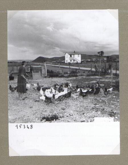 ARSIAL/ARS00174CC4.jpg
