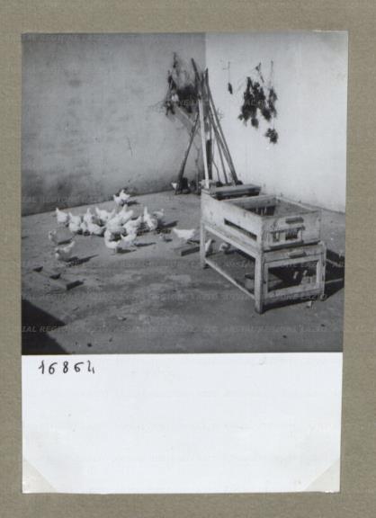 ARSIAL/ARS00174CD9.jpg