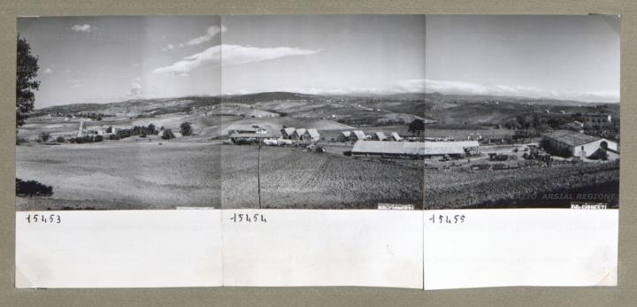 ARSIAL/ARS00174CE7.jpg