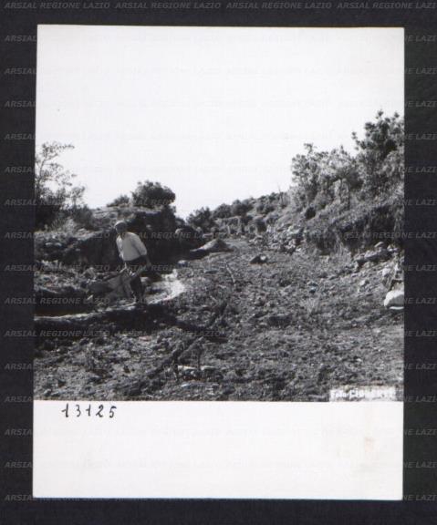 ARSIAL/ARS00174D14.jpg