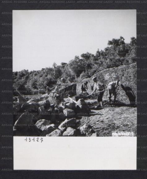 ARSIAL/ARS00174D15.jpg