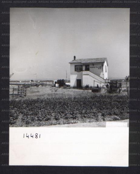 ARSIAL/ARS00174D1E.jpg
