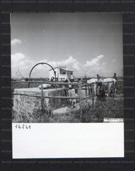 ARSIAL/ARS00174D44.jpg