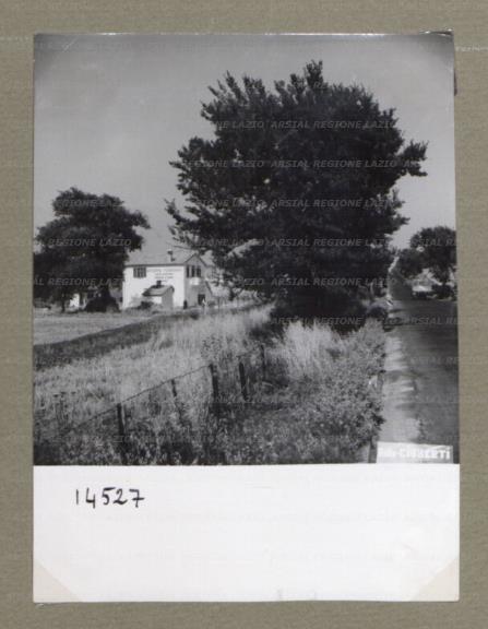 ARSIAL/ARS00174D48.jpg