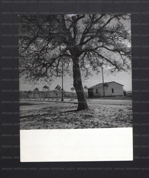 ARSIAL/ARS00174D84.jpg