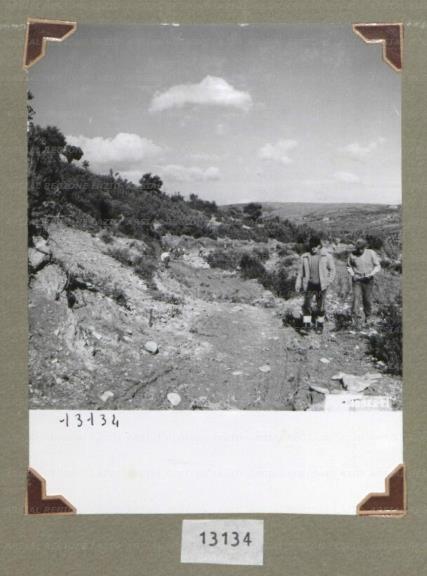 ARSIAL/ARS00174DC1.jpg