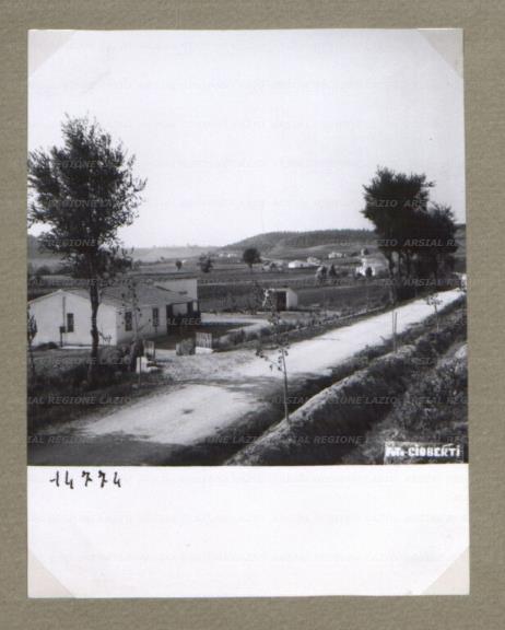 ARSIAL/ARS00174DF3.jpg