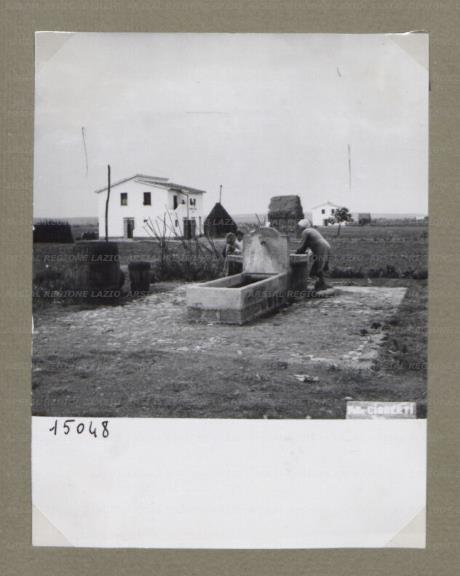 ARSIAL/ARS00174DF6.jpg