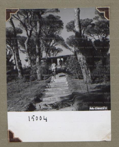 ARSIAL/ARS00174E20.jpg