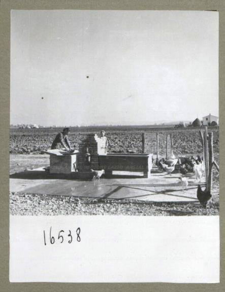 ARSIAL/ARS00174E27.jpg