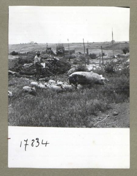 ARSIAL/ARS00174E29.jpg