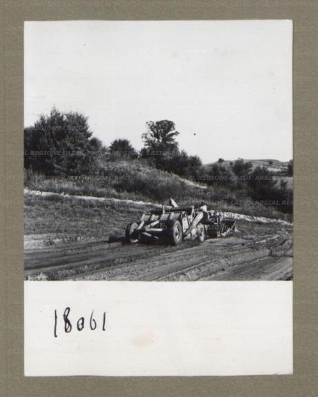 ARSIAL/ARS00174E2B.jpg