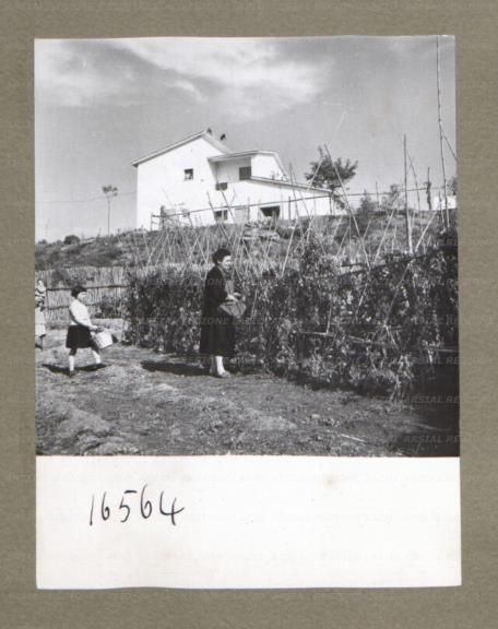 ARSIAL/ARS00174E31.jpg