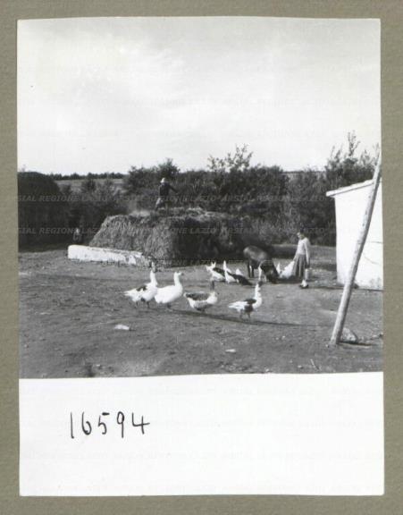 ARSIAL/ARS00174E3E.jpg
