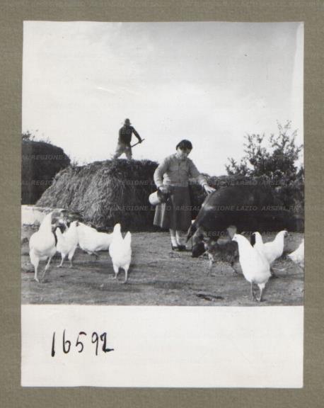 ARSIAL/ARS00174E3F.jpg