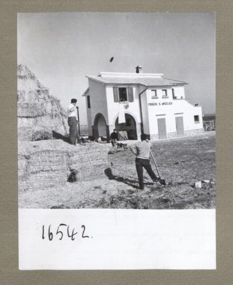 ARSIAL/ARS00174E48.jpg