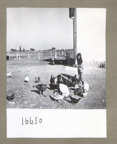 ARSIAL/ARS00174E4A.jpg