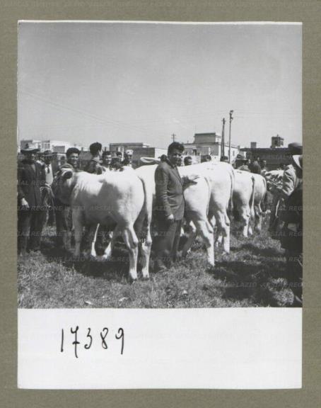 ARSIAL/ARS00174E56.jpg