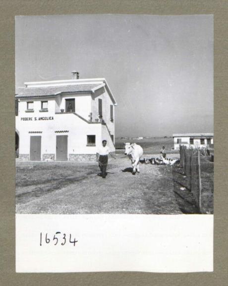 ARSIAL/ARS00174E66.jpg