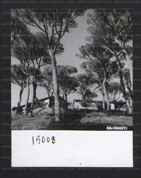 ARSIAL/ARS00174E72.jpg