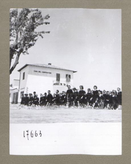 ARSIAL/ARS00174E7D.jpg