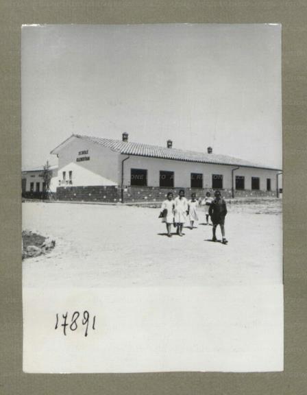 ARSIAL/ARS00174E96.jpg ARSIAL/ARS00174E96.jpg