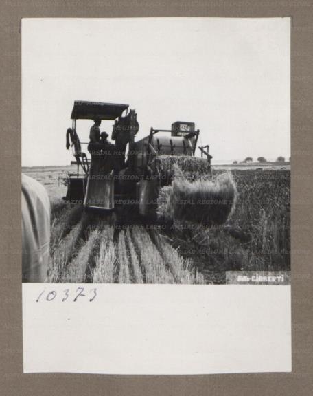 ARSIAL/ARS00174EC6.jpg