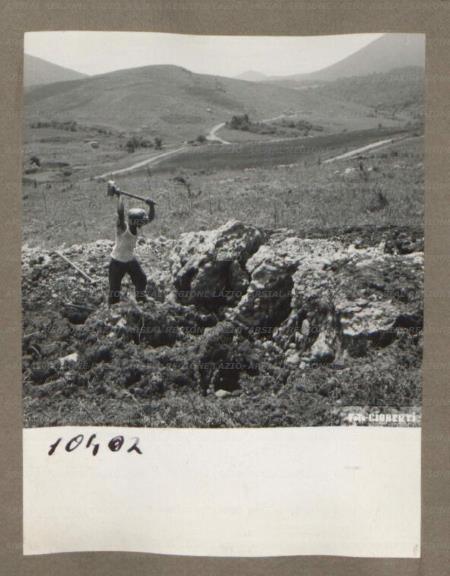ARSIAL/ARS00174F25.jpg