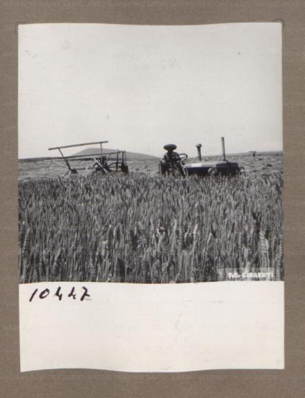 ARSIAL/ARS00174F4C.jpg