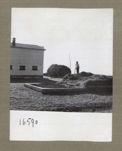 ARSIAL/ARS00174F73.jpg