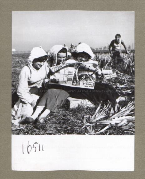 ARSIAL/ARS00174F76.jpg
