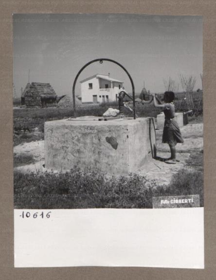 ARSIAL/ARS00174F77.jpg