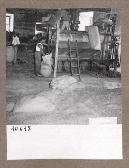 ARSIAL/ARS00174F7D.jpg