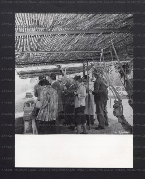 ARSIAL/ARS00174F84.jpg